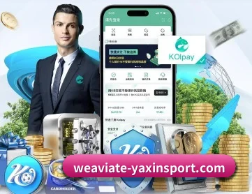 亚新 APP 深度功能