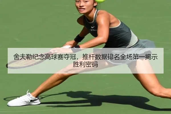 she-fu-lei-ji-nian-gao-qiu-sai-duo-guan-tui-gan-shu-ju-pai-ming-quan-chang-di-yi-jie-shi-sheng-li-mi-ma-2-966.jpg